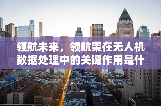 领航未来，领航架在无人机数据处理中的关键作用是什么？