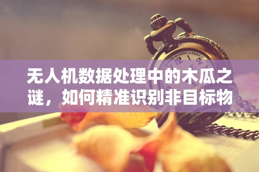 无人机数据处理中的木瓜之谜，如何精准识别非目标物？