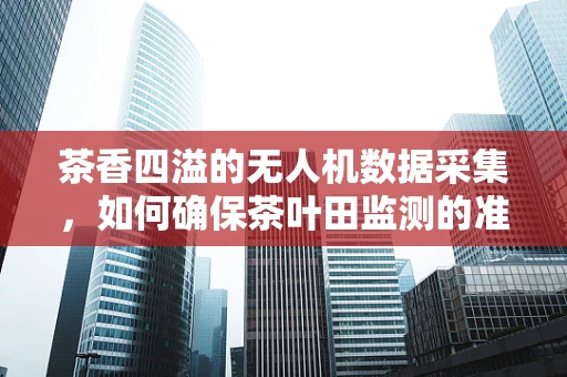 茶香四溢的无人机数据采集，如何确保茶叶田监测的准确性？