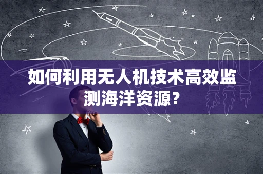 如何利用无人机技术高效监测海洋资源？