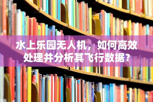 水上乐园无人机，如何高效处理并分析其飞行数据？