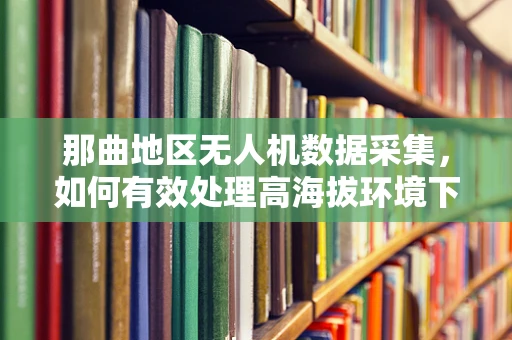 那曲地区无人机数据采集，如何有效处理高海拔环境下的图像与传感信息？