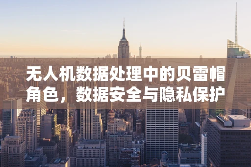 无人机数据处理中的贝雷帽角色，数据安全与隐私保护的隐形盾牌？