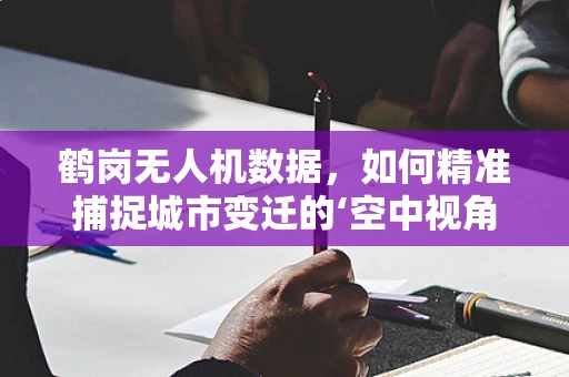 鹤岗无人机数据，如何精准捕捉城市变迁的‘空中视角’？