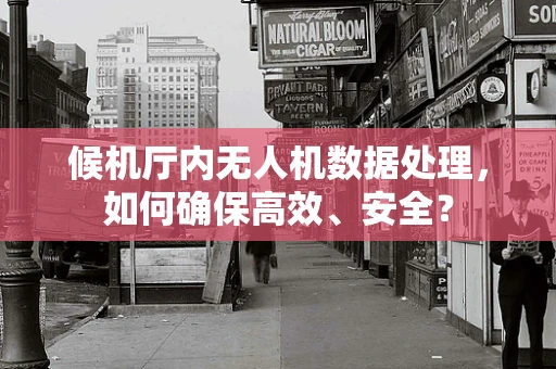 候机厅内无人机数据处理，如何确保高效、安全？