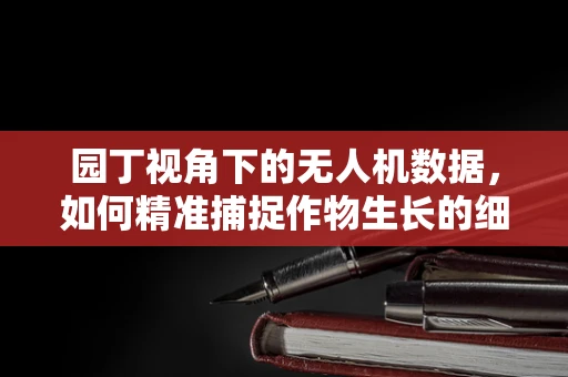 园丁视角下的无人机数据，如何精准捕捉作物生长的细微变化？