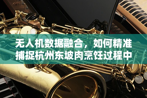无人机数据融合，如何精准捕捉杭州东坡肉烹饪过程中的香气飘散？