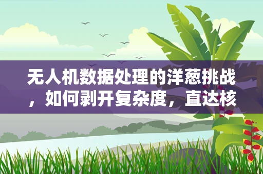 无人机数据处理的洋葱挑战，如何剥开复杂度，直达核心价值？