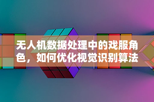 无人机数据处理中的戏服角色，如何优化视觉识别算法以适应复杂背景？