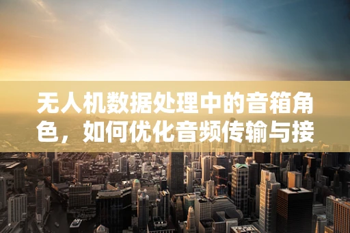 无人机数据处理中的音箱角色，如何优化音频传输与接收？