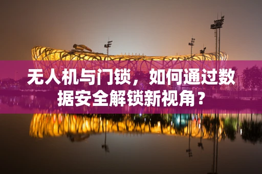 无人机与门锁，如何通过数据安全解锁新视角？