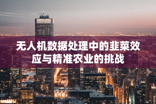 无人机数据处理中的韭菜效应与精准农业的挑战