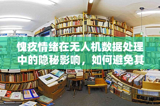愧疚情绪在无人机数据处理中的隐秘影响，如何避免其干扰数据分析的准确性？