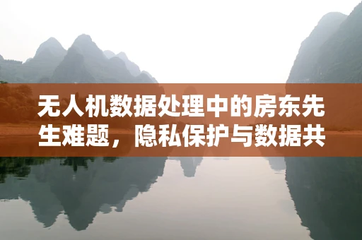 无人机数据处理中的房东先生难题，隐私保护与数据共享的平衡