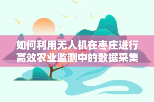 如何利用无人机在枣庄进行高效农业监测中的数据采集与处理？