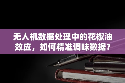 无人机数据处理中的花椒油效应，如何精准调味数据？
