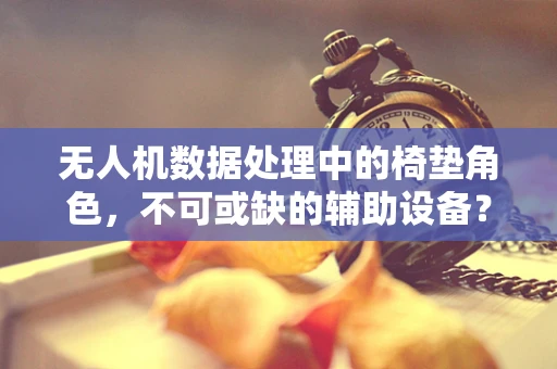 无人机数据处理中的椅垫角色，不可或缺的辅助设备？