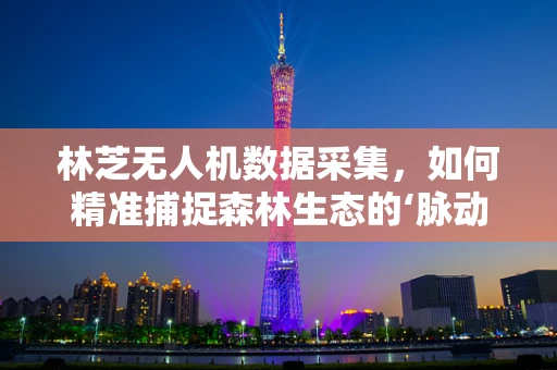 林芝无人机数据采集，如何精准捕捉森林生态的‘脉动’？