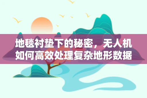地毯衬垫下的秘密，无人机如何高效处理复杂地形数据？