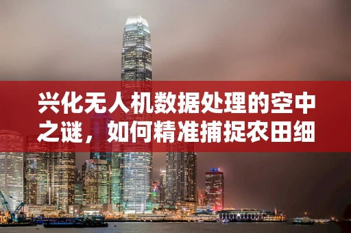 兴化无人机数据处理的空中之谜，如何精准捕捉农田细节？