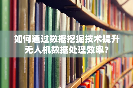 如何通过数据挖掘技术提升无人机数据处理效率？