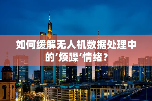如何缓解无人机数据处理中的‘烦躁’情绪？