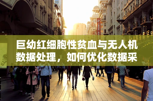 巨幼红细胞性贫血与无人机数据处理，如何优化数据采集以提升医疗诊断效率？