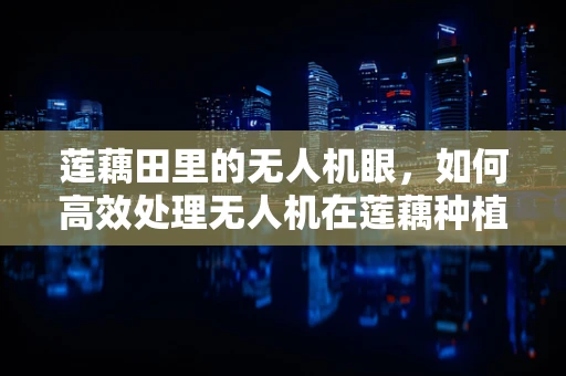 莲藕田里的无人机眼，如何高效处理无人机在莲藕种植监测中的数据？