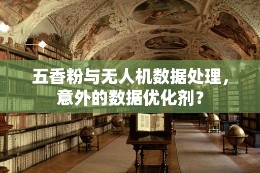 五香粉与无人机数据处理，意外的数据优化剂？