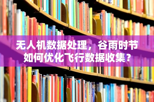 无人机数据处理，谷雨时节如何优化飞行数据收集？