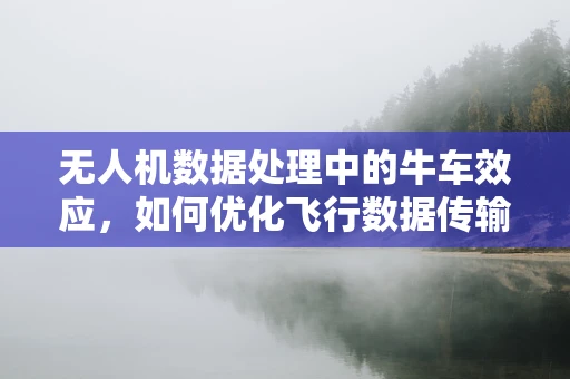 无人机数据处理中的牛车效应，如何优化飞行数据传输效率？