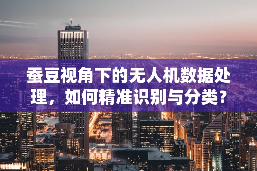 蚕豆视角下的无人机数据处理，如何精准识别与分类？