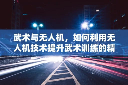 武术与无人机，如何利用无人机技术提升武术训练的精准度与效率？