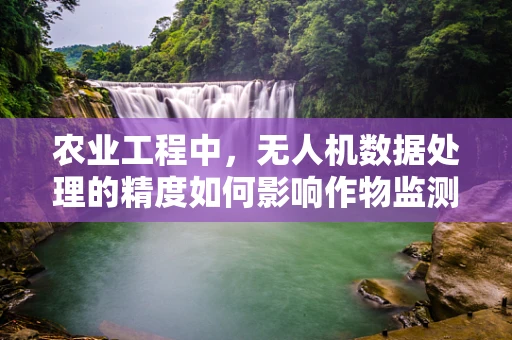 农业工程中，无人机数据处理的精度如何影响作物监测的准确性？