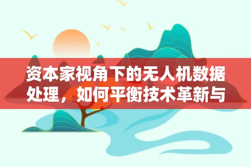 资本家视角下的无人机数据处理，如何平衡技术革新与资本回报？