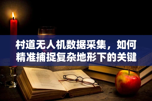 村道无人机数据采集，如何精准捕捉复杂地形下的关键信息？