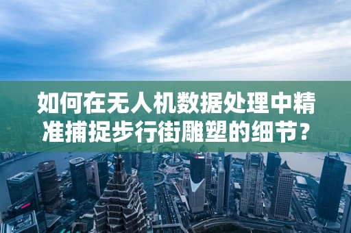 如何在无人机数据处理中精准捕捉步行街雕塑的细节？