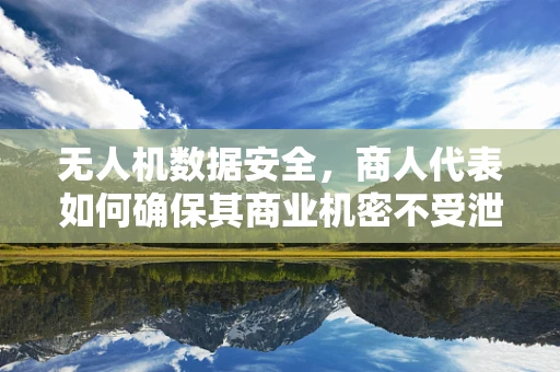 无人机数据安全，商人代表如何确保其商业机密不受泄露？