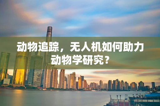 动物追踪，无人机如何助力动物学研究？