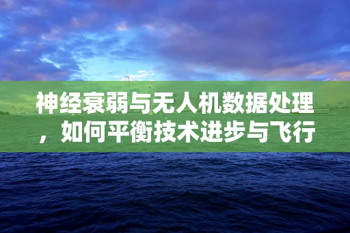 神经衰弱与无人机数据处理，如何平衡技术进步与飞行员健康？