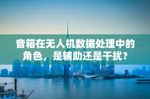 音箱在无人机数据处理中的角色，是辅助还是干扰？