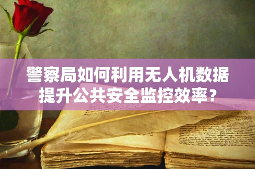 警察局如何利用无人机数据提升公共安全监控效率？