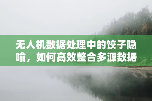 无人机数据处理中的饺子隐喻，如何高效整合多源数据？