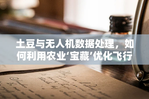 土豆与无人机数据处理，如何利用农业‘宝藏’优化飞行器数据收集？
