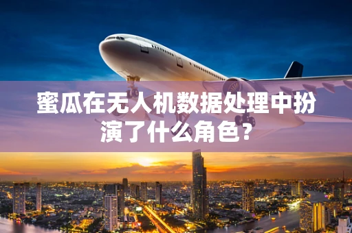 蜜瓜在无人机数据处理中扮演了什么角色？