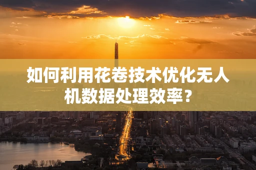 如何利用花卷技术优化无人机数据处理效率？