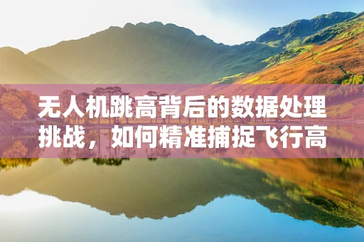 无人机跳高背后的数据处理挑战，如何精准捕捉飞行高度变化？