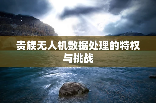 贵族无人机数据处理的特权与挑战
