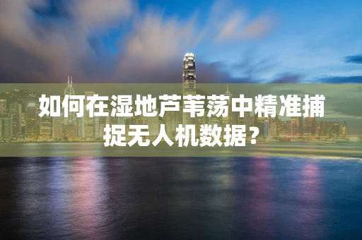 如何在湿地芦苇荡中精准捕捉无人机数据？