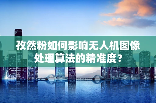 孜然粉如何影响无人机图像处理算法的精准度？